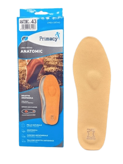 PLANTILLA ANATOMICA PIEL